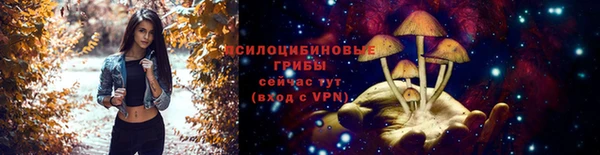 ALPHA-PVP Алексеевка