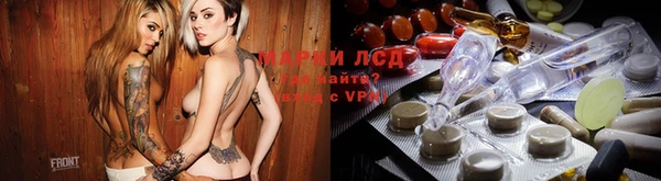 гидра Алексин