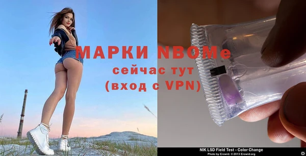 гидра Алексин