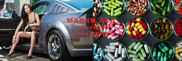 spice Алзамай