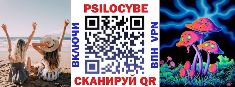MEGA зеркало  Анапа  Псилоцибиновые грибы Psilocybine cubensis  где купить наркоту 